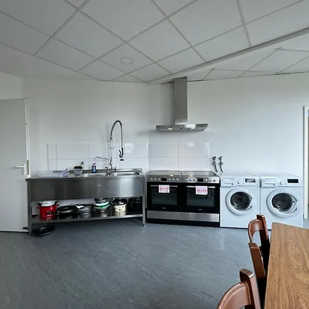 Thuja Karlsruhe-neureut By Kurzzeit *