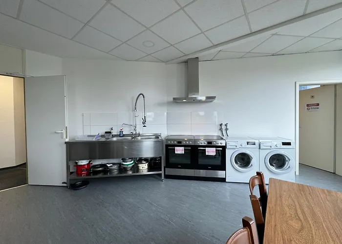 Thuja Karlsruhe-neureut By Kurzzeit *